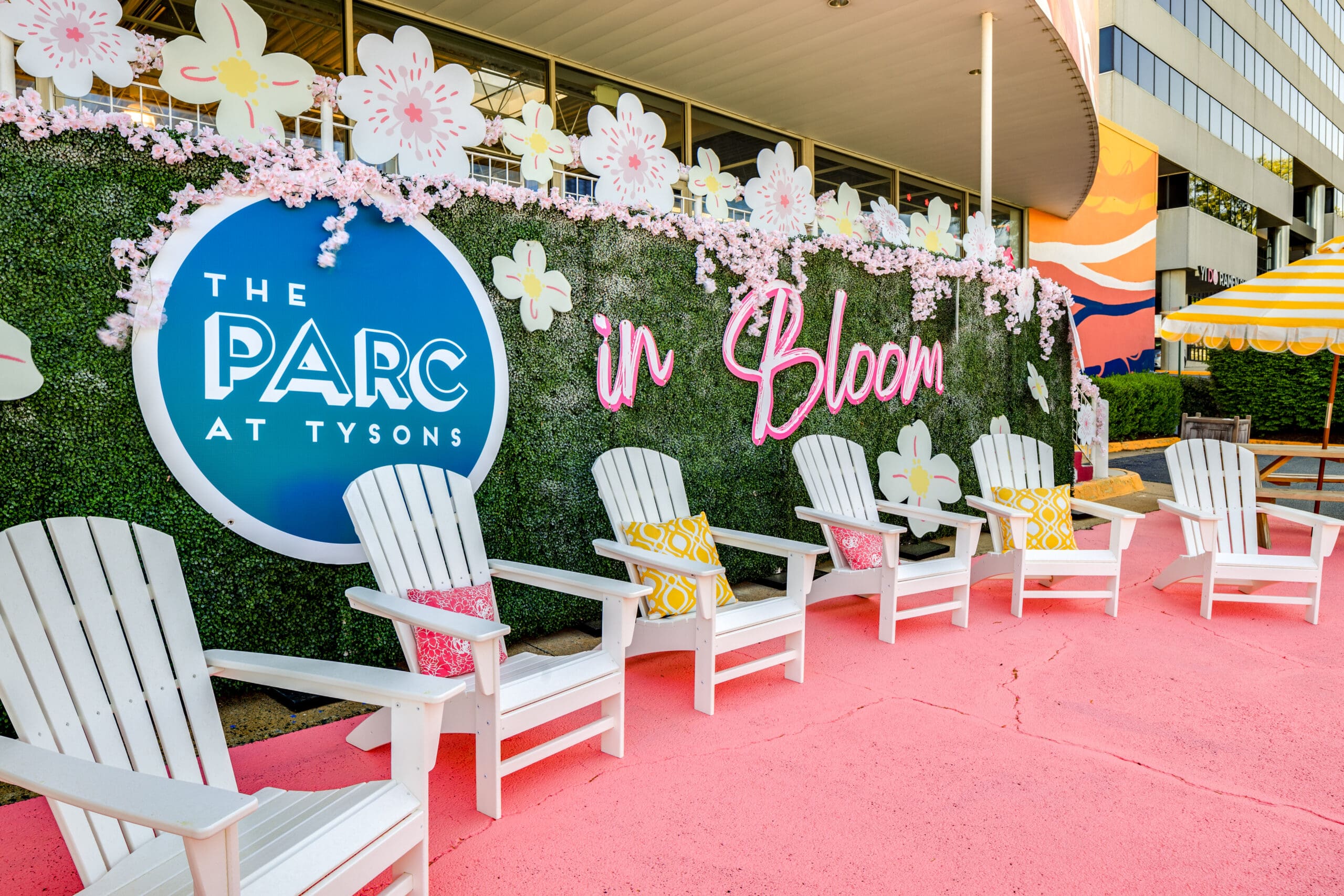 Exterior of the patio at The PARC with chairs and cherry blossom decorations.