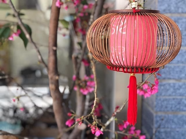 Close-up of a red Chinese lantern hanging in front of a tree with pink flowers