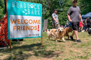 A group of dogs walking in a park with a sign that says 'Welcome Friends'