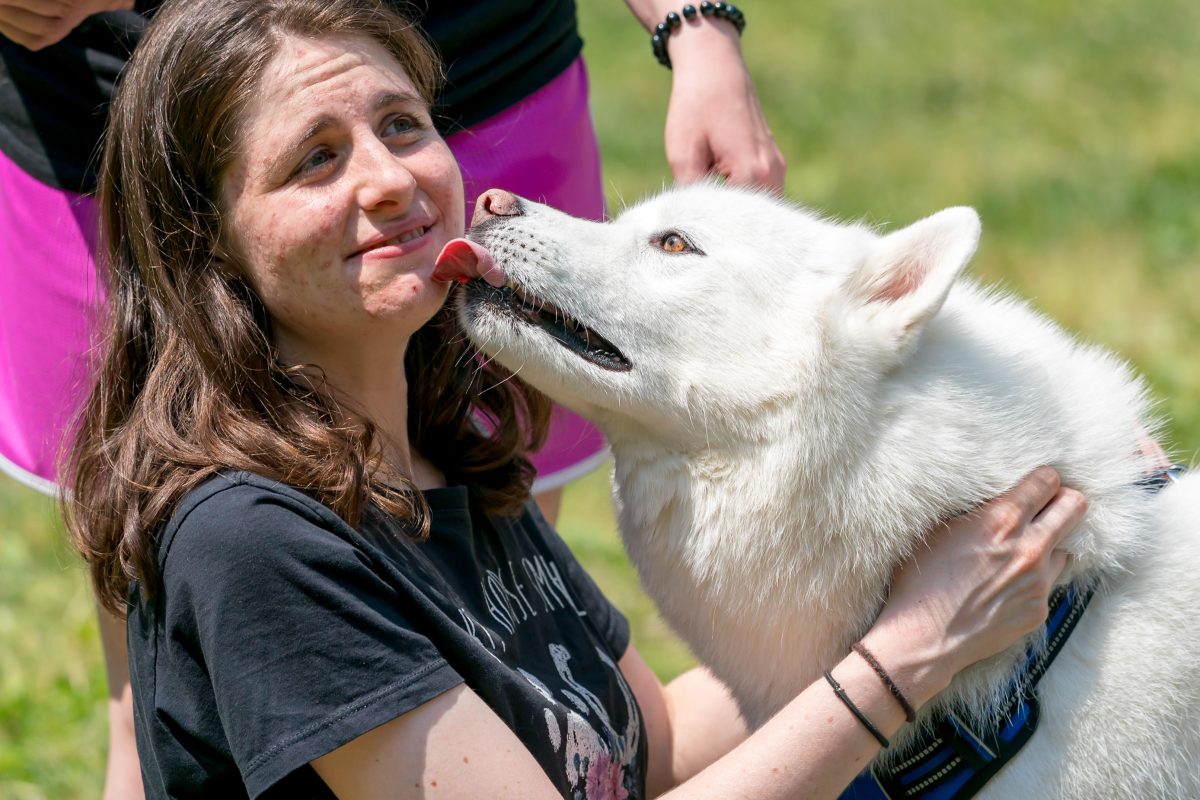 Woman knelling in the grass with large white dog licking her face.